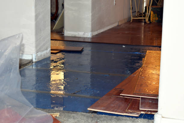 Professional Basement Water Removal technician working in Connell, WA