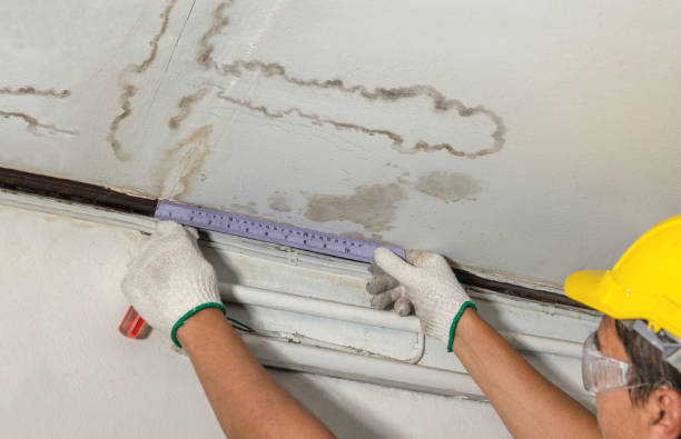 Reliable Basement Water Removal contractor in Connell, WA by Water Damage Irwin